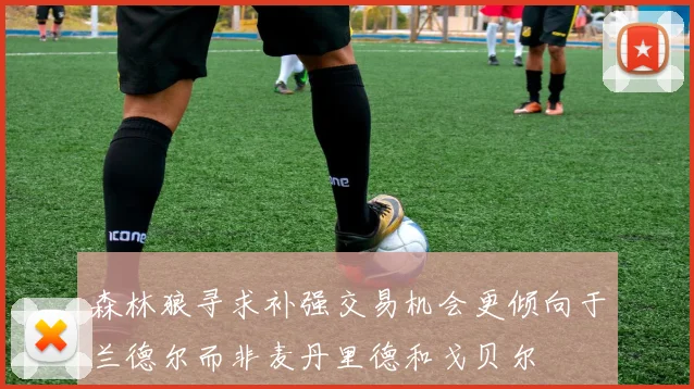 森林狼寻求补强交易机会更倾向于兰德尔而非麦丹里德和戈贝尔